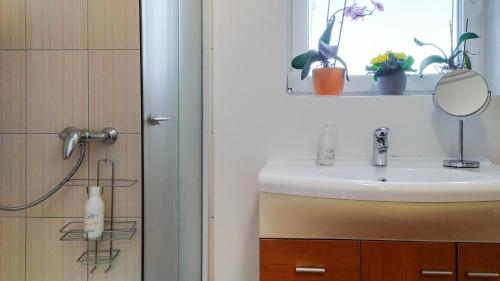 a bathroom with a sink and a mirror and a window at Apartments Vinska Trta in Čatež ob Savi