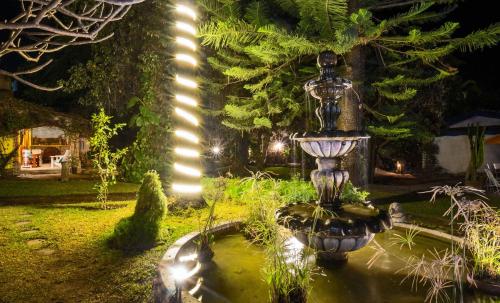 a fountain in a garden at night with lights at Garden of Dreams Boutique Hotel in Ajijic