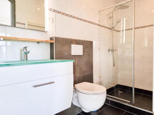 La salle de bains est pourvue de toilettes et d'une douche en verre. dans l'établissement Vakantiewoning Goedgelegen MB01, à Middelbourg