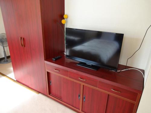 TV o dispositivi per l'intrattenimento presso Okunikko Park Lodge Miyama