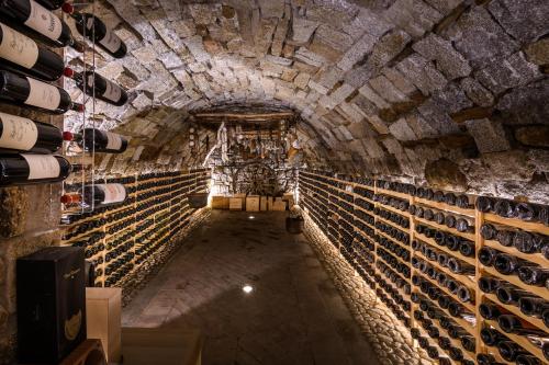 a wine cellar with a bunch of wine bottles at Hotel Garni Pegrà in Ponte di Legno