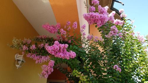 a bunch of purple flowers on the side of a building at B&B Villa Giulia in Desenzano del Garda