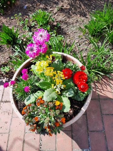 a flower pot filled with colorful flowers and plants at Hotel zur Brücke in Kevelaer