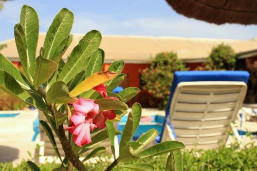 Un jardín fuera de B & B Mariamacounda