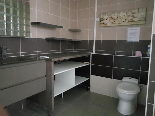 La salle de bains est pourvue de toilettes et d'un lavabo. dans l'établissement Studio très bon standing, à Petite Île