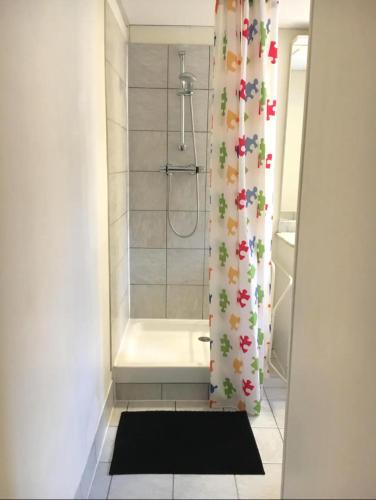 ein Bad mit Dusche und Duschvorhang in der Unterkunft Joli studio de caractère in Gray