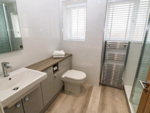 ein Badezimmer mit einem WC, einem Waschbecken und einem Spiegel in der Unterkunft Bryn Derw in Moelfre