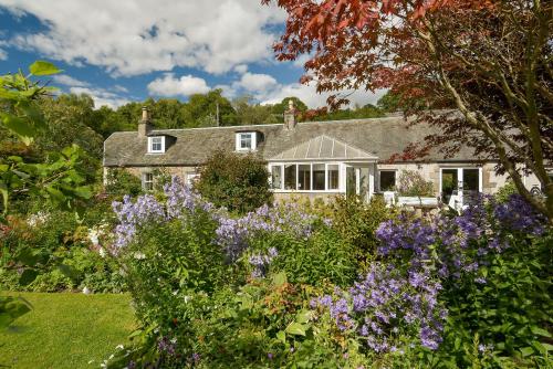 una casa con un jardín con flores púrpuras en Wintergreen en Pitlochry