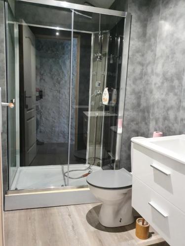 ein Bad mit einer Dusche, einem WC und einem Waschbecken in der Unterkunft Maison-Gite métropole Nancy in Vandoeuvre-lès-Nancy