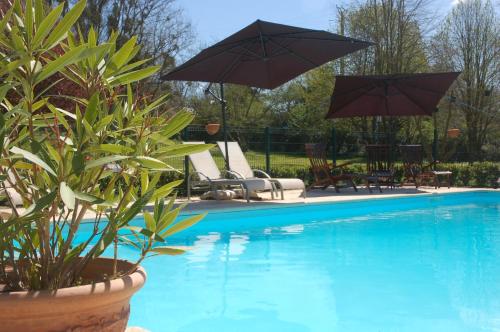 a swimming pool with two umbrellas and chairs and a pool at Le Logis du Pressoir Self Catering Gites in beautiful 18th Century Estate in the heart of the Loire Valley with heated pool and extensive grounds. in Brion
