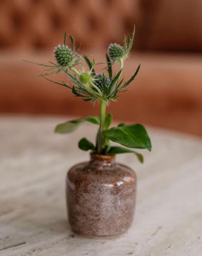a small brown vase with a plant in it at The Pinch Charleston in Charleston