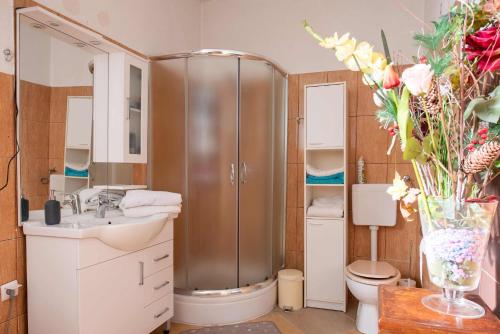 Vonios kambarys apgyvendinimo įstaigoje Ruralna kuća za odmor NINA