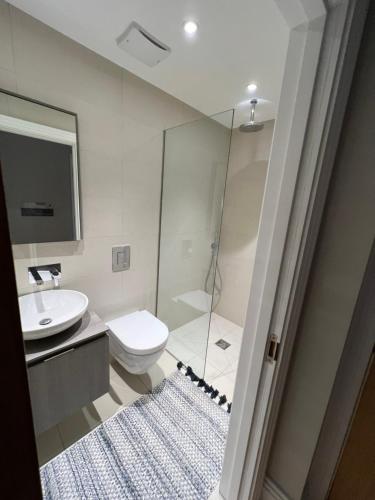 a bathroom with a toilet and a sink and a shower at Lovely modern 1 bedroom apartment in Hendon
