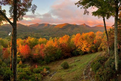 a view of a forest with fall trees and mountains at Sapphire Retreat with Views, Fire Pit, and Lake Access in Sapphire