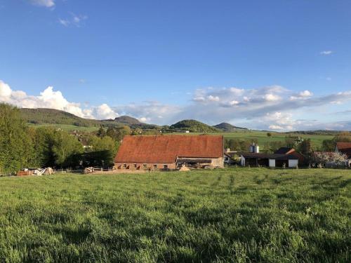 an old barn in a field of green grass at Ferienwohnung Zum Kirschhof in Hofbieber