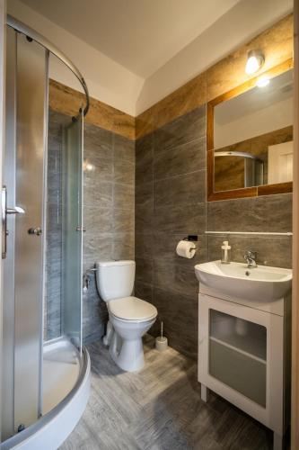 a bathroom with a toilet and a sink and a shower at Domek u Świerków in Chochołów
