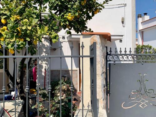 Foto dalla galleria di B&B Casa Biscotti a Peschici