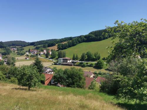 a small village in a green hillside with houses at Hotel Grüner Baum mit Restaurant & Wellness in Beerfelden