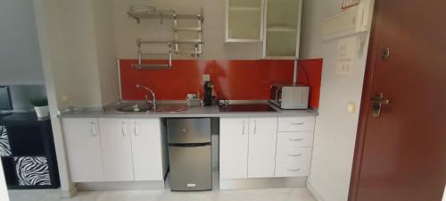 uma pequena cozinha com um lavatório e um micro-ondas em Apartamento Fibes y Congresos em Sevilha