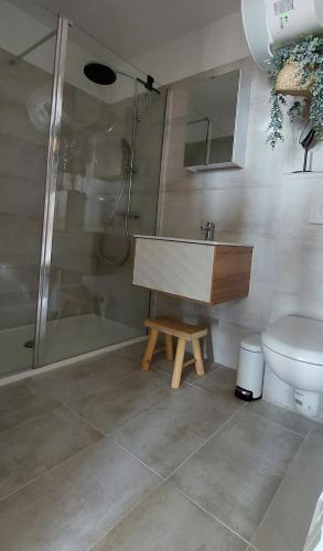 une salle de bain avec un lavabo, une douche et des toilettes dans l'établissement Un balcon sur la mer, à Ajaccio