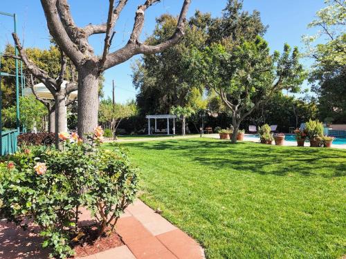 a lawn with a tree and a gazebo at 628 Madre Street in Pasadena