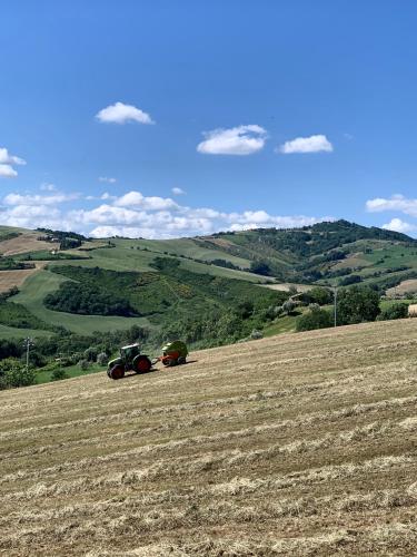 a tractor is driving across a field at Relais B&B Betty Bike in Sassofeltrio