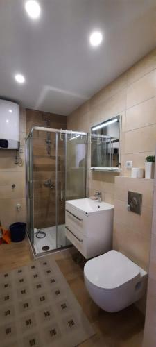 a bathroom with a toilet and a shower and a sink at apartment zlatibor in Zlatibor