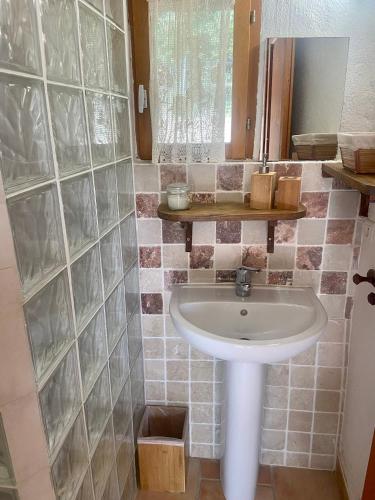 une salle de bain avec un lavabo et un miroir dans l'établissement BERGERIE Babbu, Domaine de l Ogliastru, à Olmeto