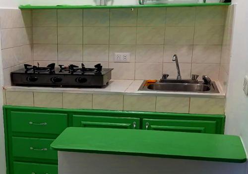 a kitchen with green cabinets and a stove and a sink at Residence Nord Est in Las Terrenas