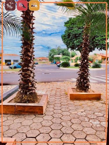 two palm trees sitting on a sidewalk next to a street at Anexo - Hospedagens Imigrantes in São Pedro