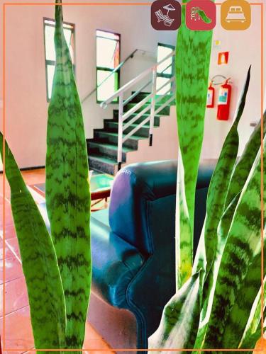 a group of green plants in a room with stairs at Anexo - Hospedagens Imigrantes in São Pedro