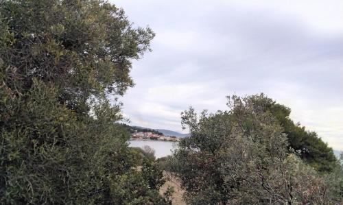 a view of a lake from between some trees at Elia by the sea in Psakoudia