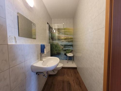 ヴァーレンにあるHotel Am Brauhausのバスルーム(シンク、壁に絵画が描かれたトイレ付)