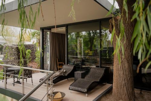 a house with glass walls and a tree at Susana Balbo Winemaker´s House in Ciudad Lujan de Cuyo