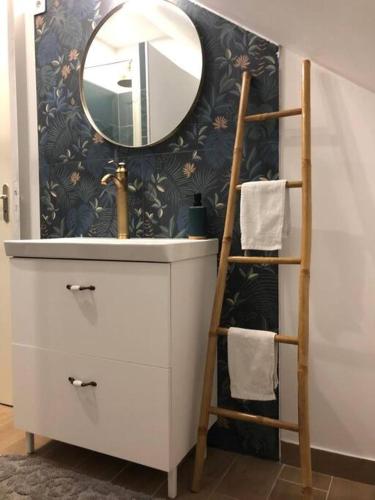 une salle de bain avec un lavabo et un miroir sur un mur dans l'établissement Logement à Brive, près du centre-ville et de la gare - Climatisation, fibre internet et stationnement gratuit, à Brive-la-Gaillarde