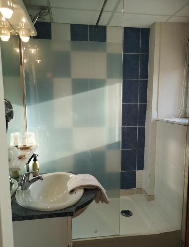 a bathroom with a sink and a shower at Les Camelias in Bagnoles de l'Orne
