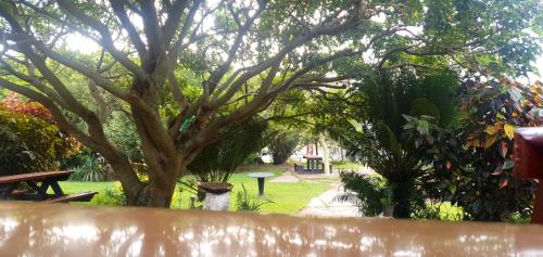 a view of a park with a tree and a table at Sunset Bed and Breakfast in Coffee Bay
