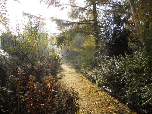 a dirt path with trees on the side of it at Rustherberg in Valthermond