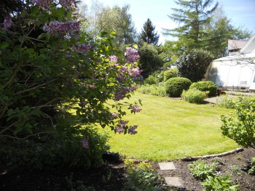 a garden with purple flowers and a yard at Rustherberg in Valthermond