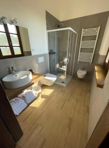 a bathroom with a sink and a toilet and a shower at Podere al Fico B&B in Cecina