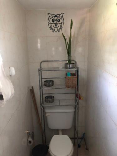 a bathroom with a toilet with a plant on top of it at ROMA in Reyes