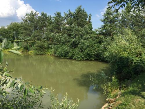 une masse d'eau avec des arbres et des buissons dans l'établissement Domek przy stawie, à Nur