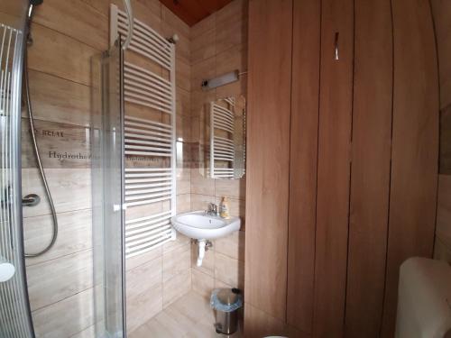 een badkamer met een wastafel en een douche bij Egniss Apartman in Bogács