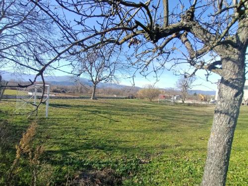 a field with a goal in a field with a tree at RossoMattone CountryHouse in Sulmona