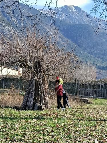 a child standing next to a tree in a field at RossoMattone CountryHouse in Sulmona