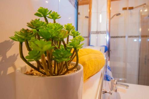 a green plant in a white pot in a bathroom at beim Vogt - Oberjoch in Oberjoch