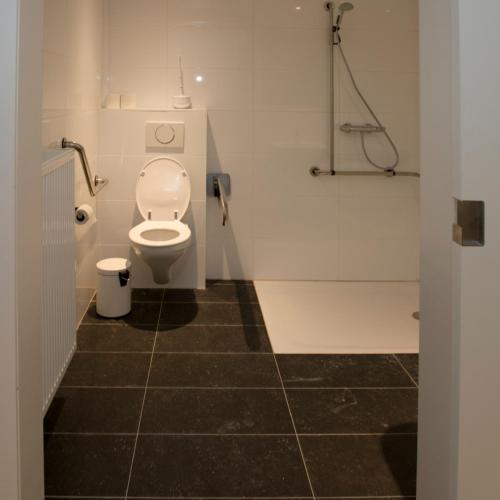 a bathroom with a toilet and a shower at Vayamundo Oostende in Ostend