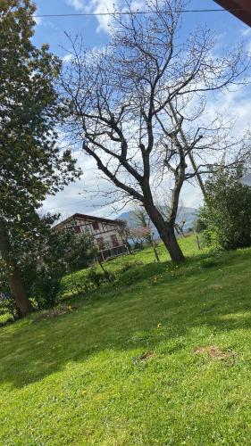 MAISON AMORAINA – Photos 4