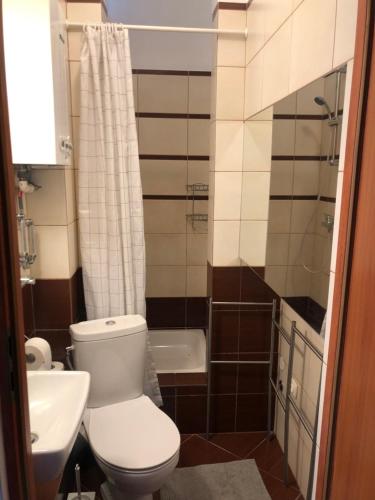 a bathroom with a toilet and a sink and a tub at Apartament Teatralny in Gdańsk
