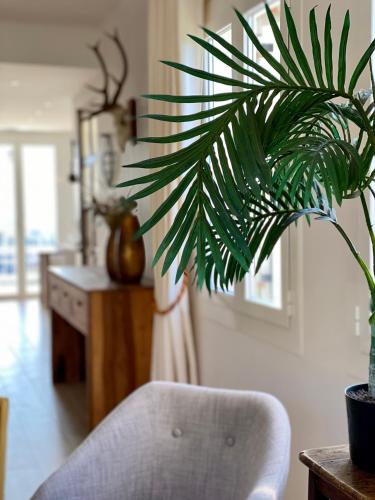 un salon avec une chaise et une plante en pot dans l'établissement Ravissante maison à St Paul de Vence, à Saint-Paul-de-Vence